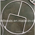 Heat Exchangers Double Jacket Gasket Djg (SUNWELL)